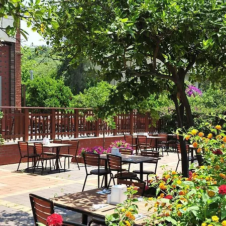 Club (adults Only) Hotel Konaklı